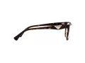 Emporio Armani Naočare EA 3172 5234