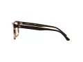 Emporio Armani Naočare EA 3185 5903