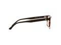 Emporio Armani Naočare EA 3185 5903