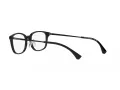 Emporio Armani Naočare EA 3217D 5017