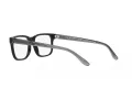 Emporio Armani Naočare EA 3218 5017