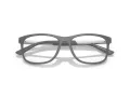 Emporio Armani Naočare EA 3247 6205