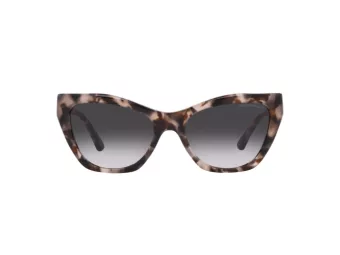 Emporio Armani Naočare za sunce EA 4176 54108G
