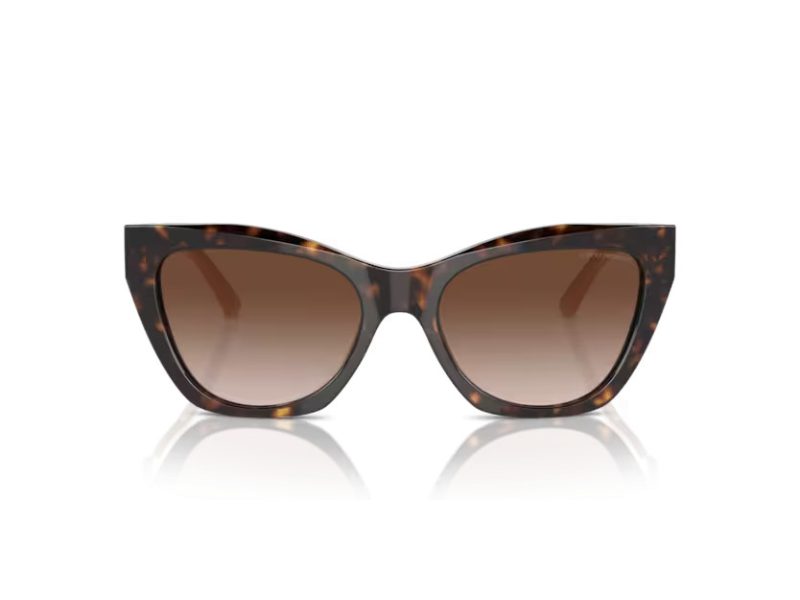 Emporio Armani Naočare za sunce EA 4176 587913