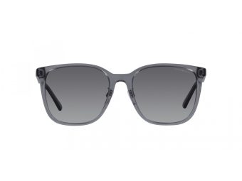 Emporio Armani Naočare za sunce EA 4206D 5029T3