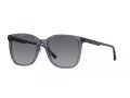 Emporio Armani Naočare za sunce EA 4206D 5029T3