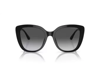 Emporio Armani Naočare za sunce EA 4214U 50178G