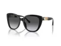 Emporio Armani Naočare za sunce EA 4214U 50178G