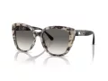 Emporio Armani Naočare za sunce EA 4214U 605811
