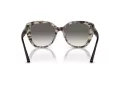 Emporio Armani Naočare za sunce EA 4214U 605811
