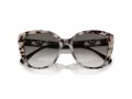 Emporio Armani Naočare za sunce EA 4214U 605811