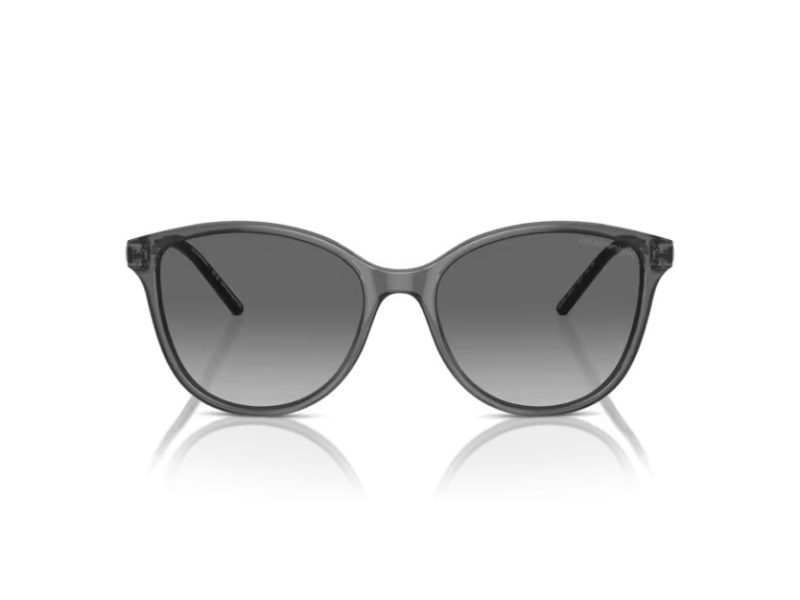 Emporio Armani Naočare za sunce EA 4220 610611