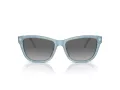 Emporio Armani Naočare za sunce EA 4227U 609611