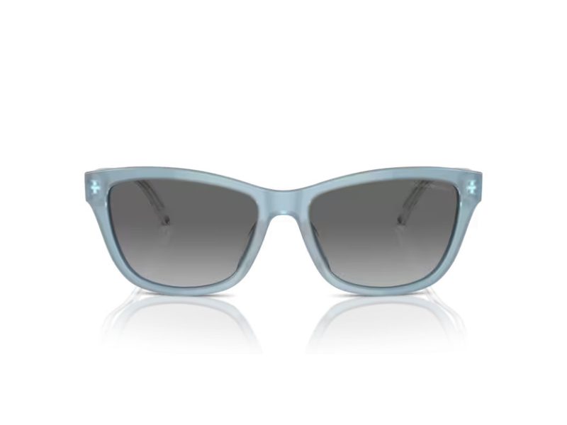 Emporio Armani Naočare za sunce EA 4227U 609611