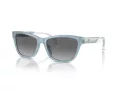 Emporio Armani Naočare za sunce EA 4227U 609611