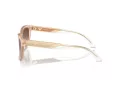 Emporio Armani Naočare za sunce EA 4227U 609813