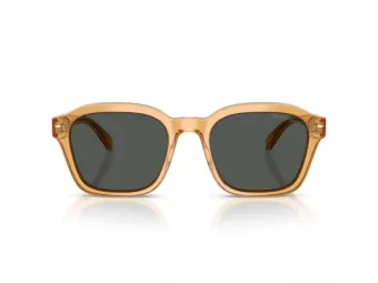 Emporio Armani Naočare za sunce EA 4245U 624687