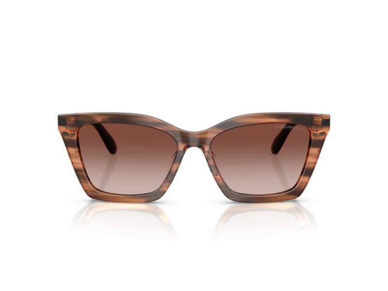 Emporio Armani Naočare za sunce EA 4250U 626613