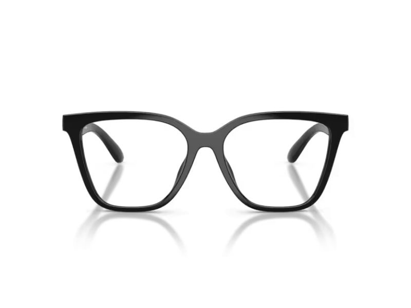 Emporio Armani Naočare za sunce EA 4254U 50171W