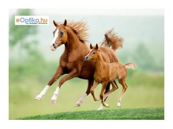 Krpice za čišćenje naočara