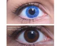 ColourVUE Basic Blue (2 sočiva)