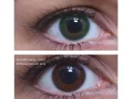 ColourVUE Basic Green (2 sočiva)