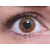 ColourVUE Basic Honey (2 sočiva)