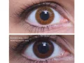 ColourVUE Basic Honey (2 sočiva)