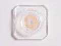 ColourVUE Basic Honey (2 sočiva)