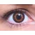 ColourVUE 3 Tones Brown (2 sočiva)