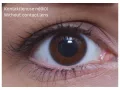 ColourVUE BigEyes Cool Blue (2 sočiva)