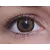 ColourVUE BigEyes Sweet Honey (2 sočiva)