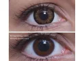 ColourVUE BigEyes Sweet Honey (2 sočiva)