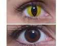 ColourVUE Crazy Cat's Eye (2 sočiva)