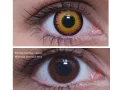 ColourVUE Crazy Orange Werewolf (2 sočiva)