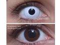 ColourVUE Crazy Whiteout (2 sočiva)
