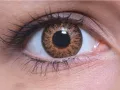 ColourVUE Glamour Honey (2 sočiva)