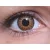 ColourVUE Glamour Honey (2 sočiva)