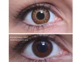 ColourVUE Glamour Honey (2 sočiva)