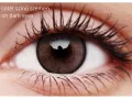 ColourVUE Lumina Shinning Brown (2 sočiva)