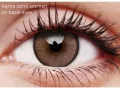 ColourVUE Lumina Shinning Brown (2 sočiva)