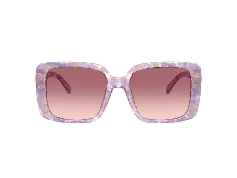 Coach Cad54 Naočare za sunce HC 8424U 58677W