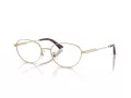 Jimmy Choo Naočare JC 2009D 3006
