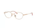 Jimmy Choo Naočare JC 2009D 3008