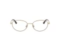 Jimmy Choo Naočare JC 2009D 3019