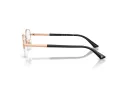 Jimmy Choo Naočare JC 2014D 3022