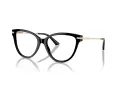 Jimmy Choo Naočare JC 3001B 5000