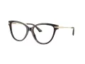 Jimmy Choo Naočare JC 3001B 5002