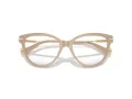 Jimmy Choo Naočare JC 3001B 5015