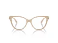 Jimmy Choo Naočare JC 3001B 5015